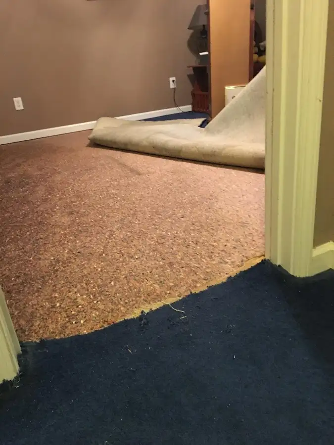 Carpet pad removal revealing water damage during Water Mitigation Services in South Haven