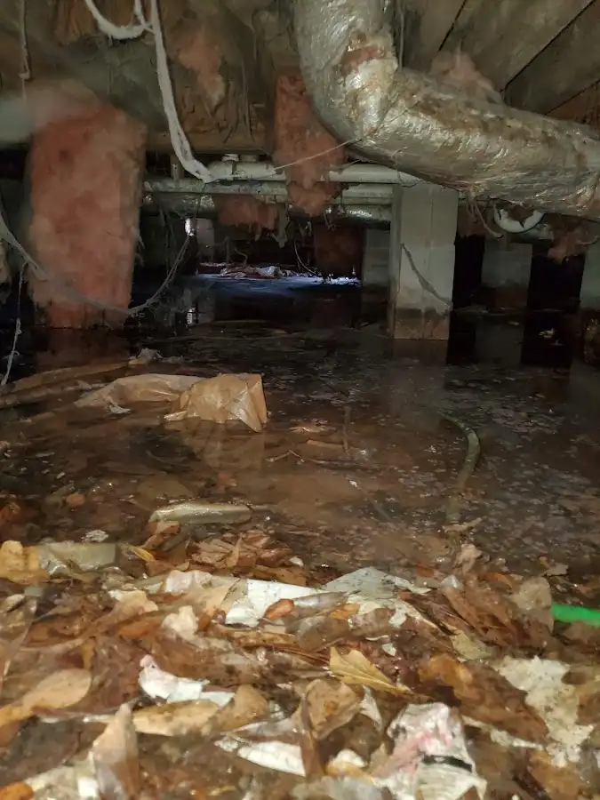 Crawl space flood assessment for Commercial Water Damage Restoration in South Haven