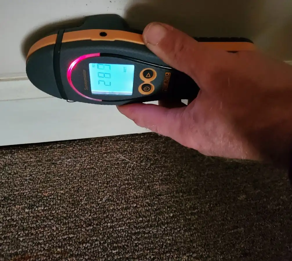 Moisture detection at baseboard during Burst Pipe Cleanup in South Haven